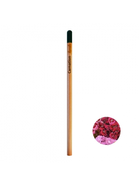 matite-fanny-easy-con-fusto-colorato-grigio scuro.jpg